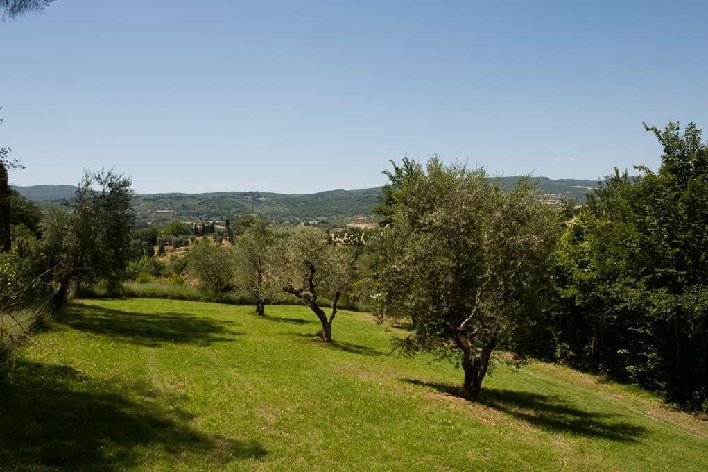 Hotel Villa Il Patriarca Chiusi Bekvämligheter bild